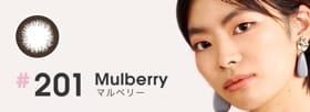 #201 Mulberry（マルベリー）